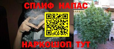 МДМА Гатчина