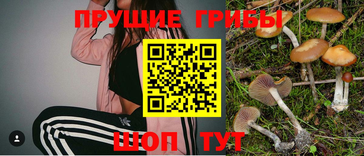 Кашира  Псилоцибиновые грибы Psilocybe  Вход с VPN 