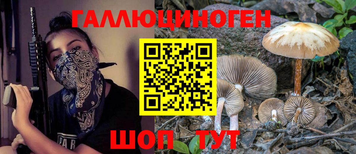 Галлюциногенные грибы ЛСД Кашира